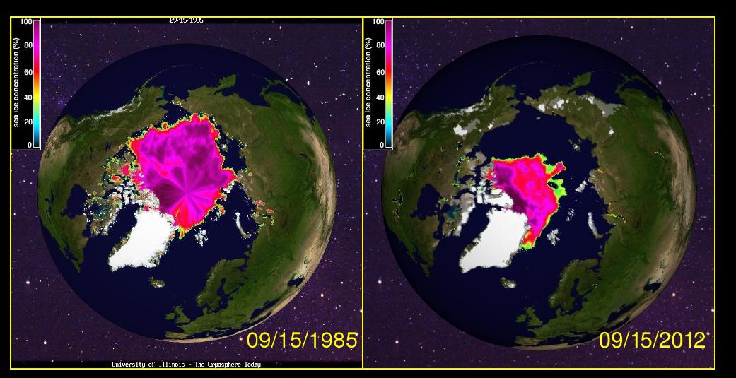 Nu ska det sägas att det är mycket svårt att bedöma en isbjörnspopulations storlek. Baffin Bay har nästa omvända populationsuppskattningar men en ny är på väg och ska vara klar i slutet av året(2014).