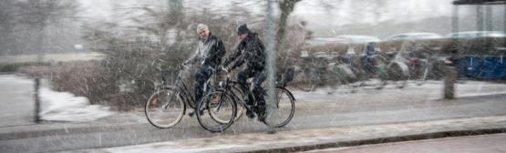 åtminstone i norra Sverige Målgruppsanpassade rekommendationer Reglering av marknaden