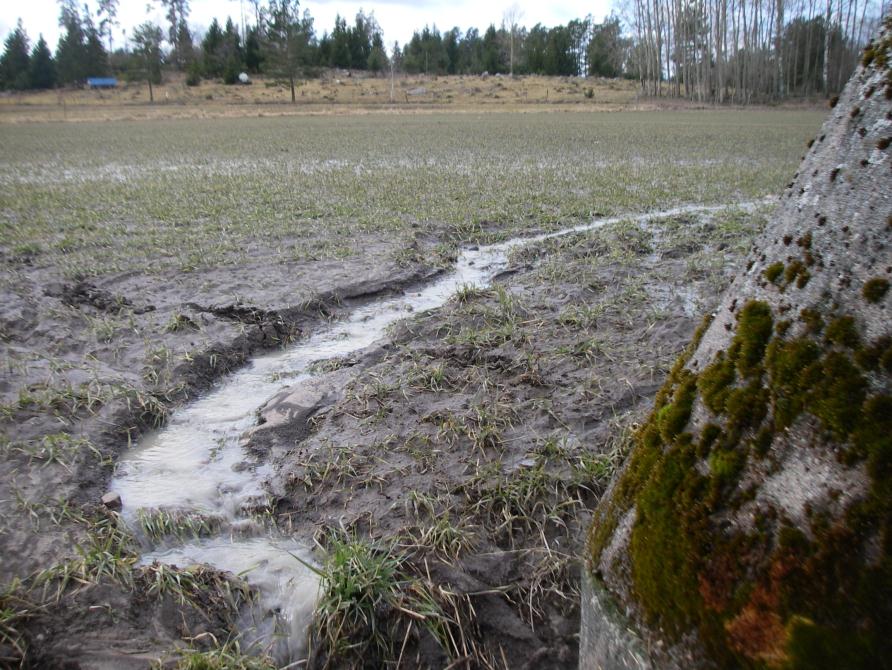 Ytavrinning och erosion är en av de största orsakerna till fosforförluster. Om man har en dålig dränering kan det dessutom bildas stående vatten på fältet.