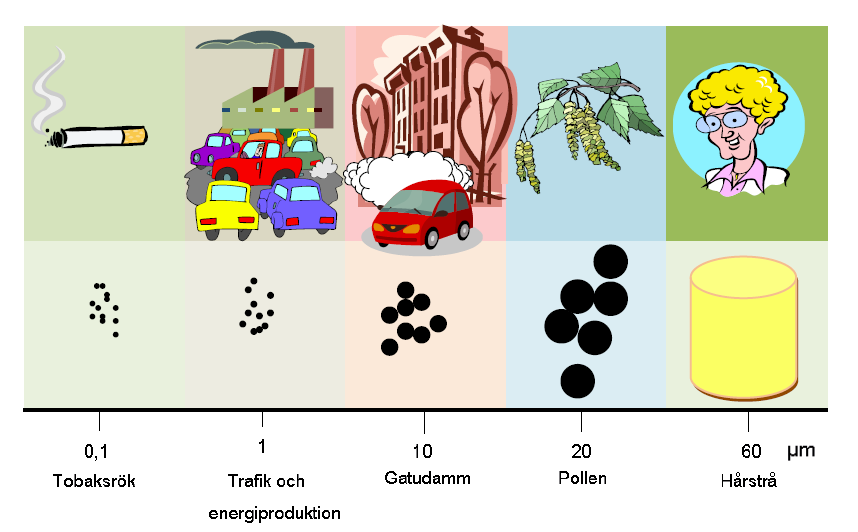 Åtgärdsprogram för partiklar PM 10 Partiklar, PM 10 Inandningsbara partiklar har i typiska fall en storlek på cirka 10 mikrometer [μm] eller mindre.