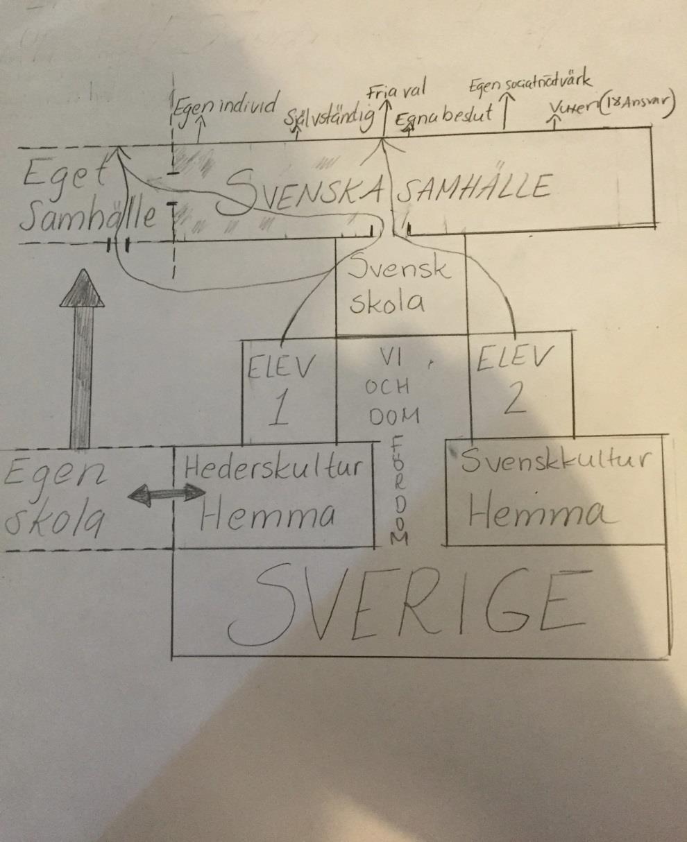 HEDERS SYSTEM