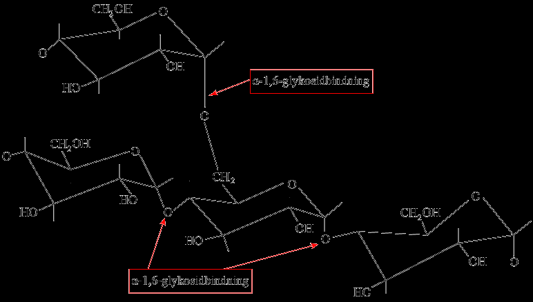 Figur 5: Stärkelsens kemiska struktur. 2.