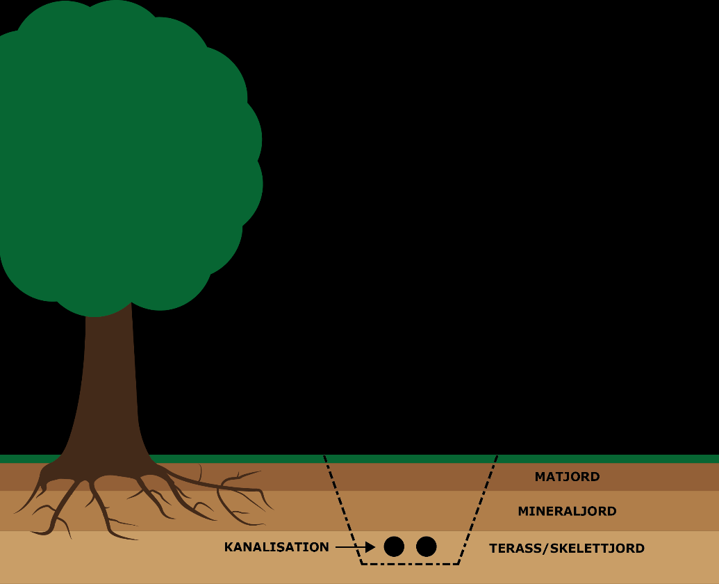 29 Exempel på återställning vid träd. TF.4.2 Återställning i park- och naturmark Vid grävning i park och skog återställs ytorna till ursprungligt skick.