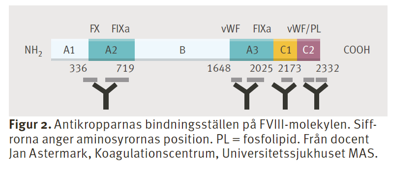 Auto-antikroppar Vanligen