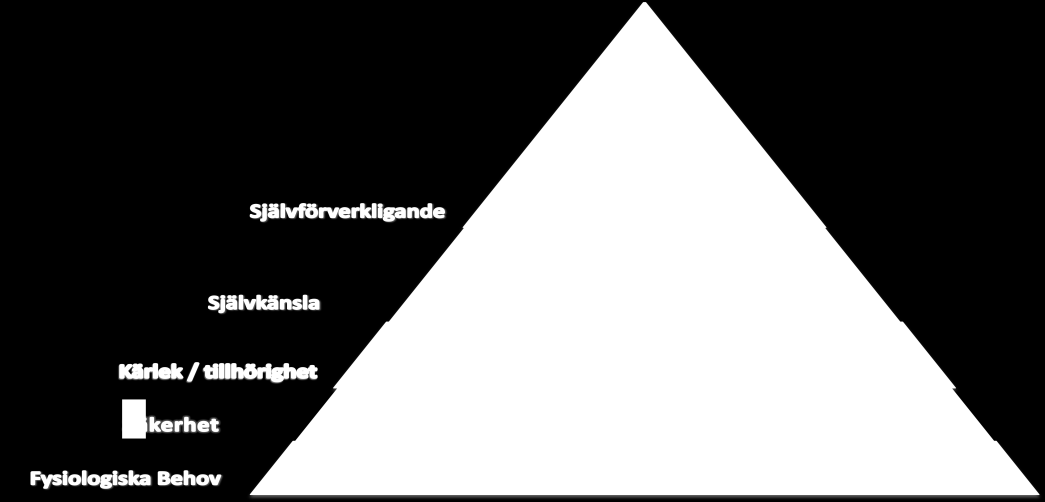 15 2.2 Motivation Motivation är en viktig sak att förstå eftersom hela grundidén med ett belöningssystem är att det skall motivera personalen.