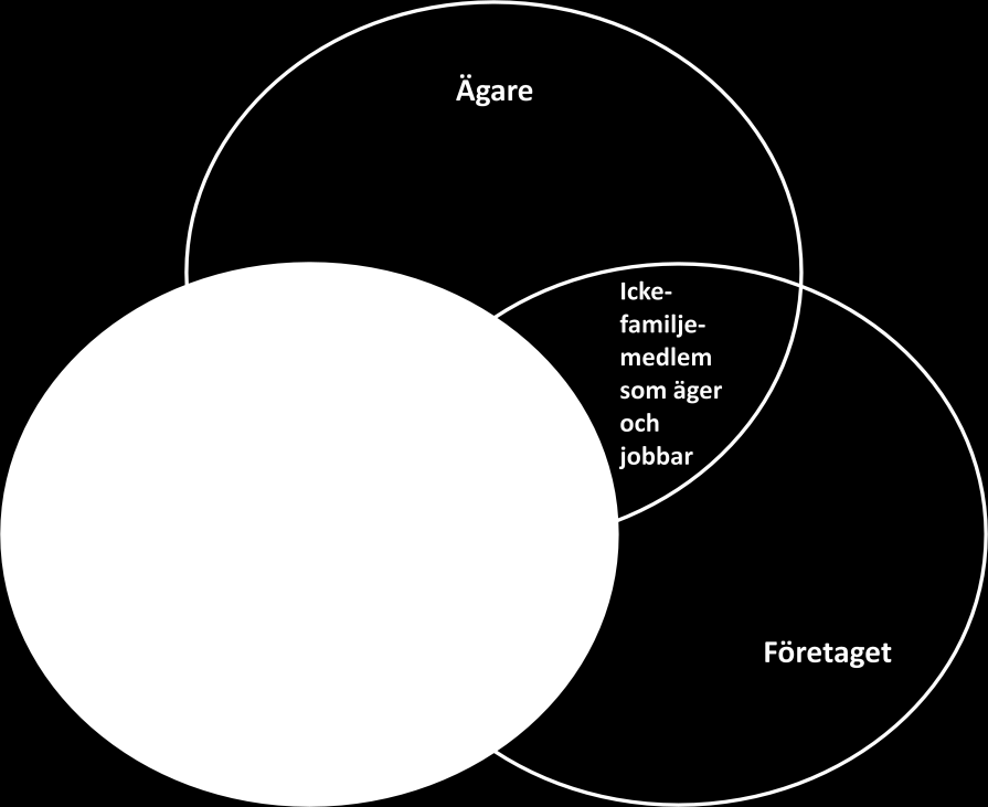 28 Figur 6 Taguiris Three Circle Model (Cambridge Advisors to Family Enterprise, 2010) Som man kan se från figur 6 så finns det 7 olika intressenter inom ett familjeföretag, vilka baserar sig på tre