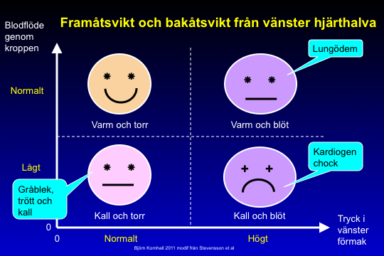 befolkningen som är över 75 år. Asymtomatisk systolisk vänsterkammardysfunktion (NYHA I) har också en prevalens på cirka 1.5%.