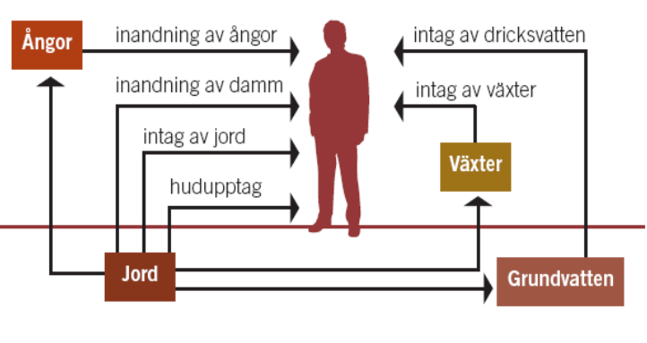 RAPPORT 20140926 15 (17) 9 Felkällor Samtliga analyser har utförts av ackrediterade laboratorium. Dock har analysen av formaldehyd avseende jord, ej varit ackrediterad som metod.