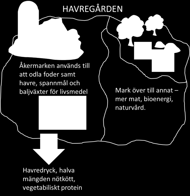 Resultaten från denna studie visar således på miljöpåverkan från olika möjliga sätt att producera livsmedel (se avsnitt 6.1.1 för en mer utförlig diskussion kring hur resultaten ska tolkas).