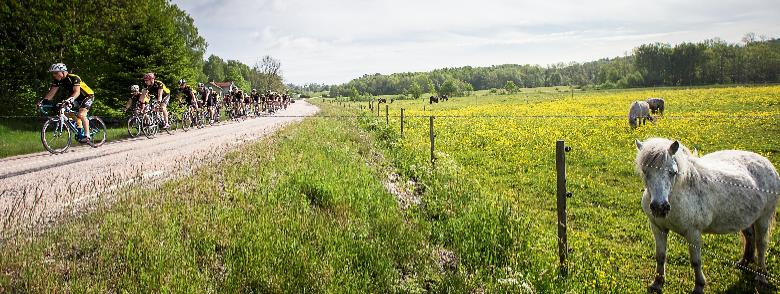 50 I GÖTEBORGSOMRÅDET 51 Minska risken att drabbas av hjärtkärlsjukdomar, kom igång med rolig motion som du gillar! VÄSTKUSTEN RUNT 120 KM 200 KM 28 MAJ www.