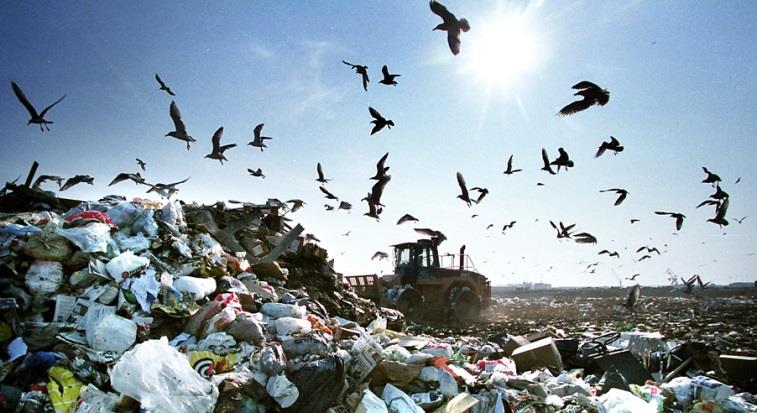 20 43 69 FRÅGA 11: AVFALLSTRAPPA VUEN EU har tagit fram en avfallstrappa som styr hur allt avfall ska omhändertas i hela Europa!