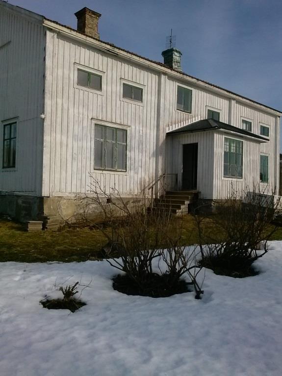 2.2 Aconitum x cammarum Bicolor tvåfärgad trädgårdsstormhatt Eftersom det varit vinter och snö på platsen (se Figur 5) under arbetet med denna uppsats har jag personligen inte sett stormhattens blad
