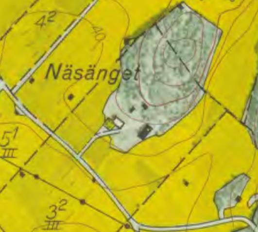 2.3 Trädgårdens utseende och trädgårdsstormhattens placering i trädgården över tid.