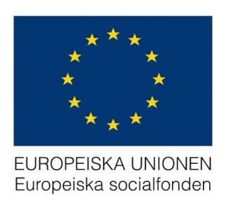 5. Unga med funktionsnedsättning Ansökningar om aktivitetsersättning bland ungdomar på grund av psykisk ohälsa har nästan fyrdubblats sedan början av 2000-talet, vilket är den i särklass största