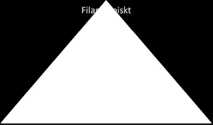 Figur 1. Carrols modell av CSR (Carrol 2006) 2.1.1. Etiskt ansvar Carrol (2006) menar att lagar är ett sätt att uppbringa ordning, men att dessa trotsallt inte kan täcka alla områden och problem som företag ställs inför.