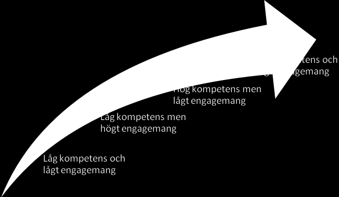 utvecklingsnivå kan jobba självständigt och anta delegerade uppgifter. I dessa situationer måste ledaren visa att han/hon har förtroende för medarbetaren och dess självständiga arbete.