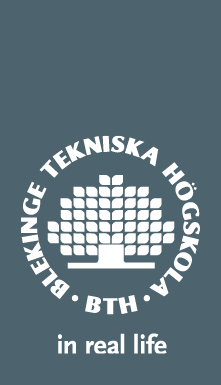 Social challenges when implementing Information Systems in a Swedish
