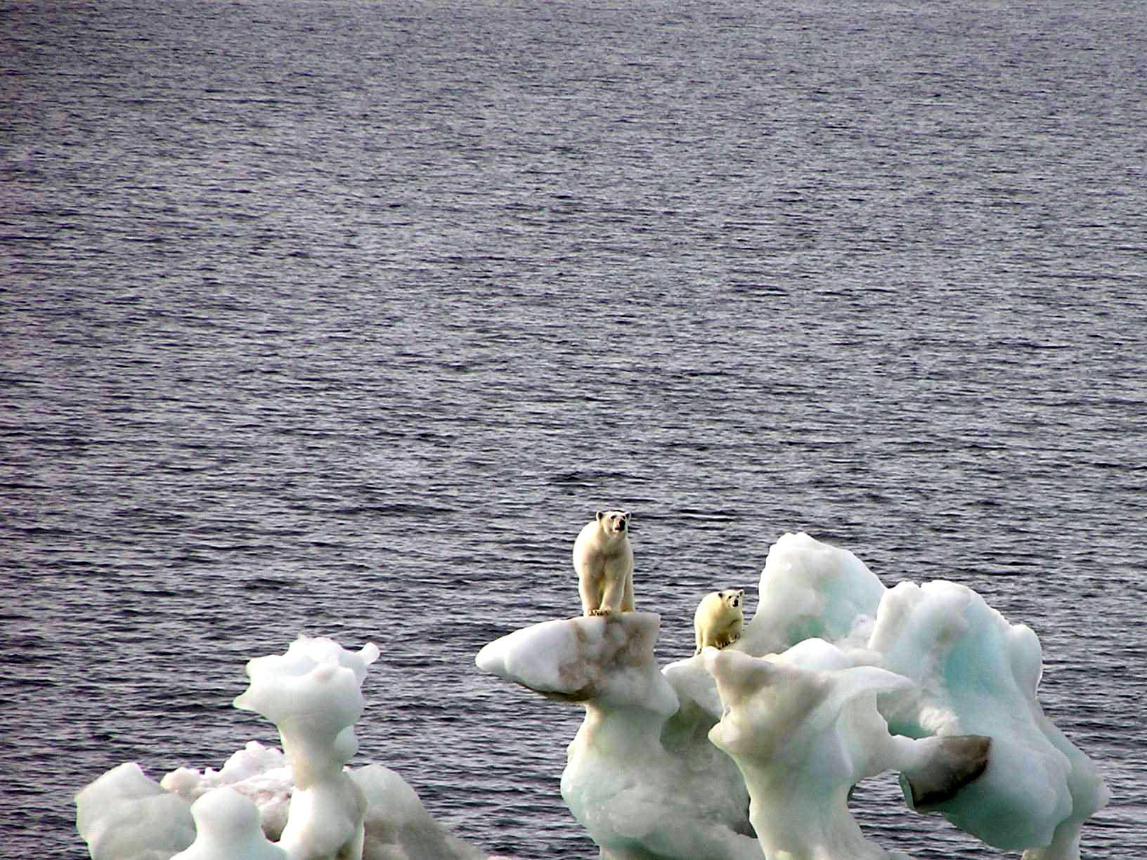 http://www.ice.ec.gc.ca/app/wsvpagedsp.cfm?