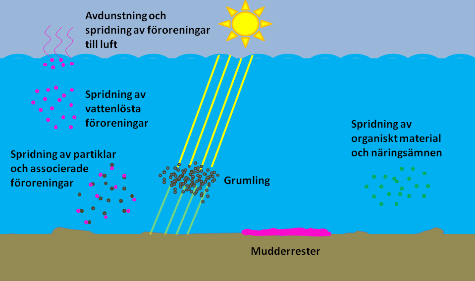 2 Miljöeffekter av muddring i förorenade sediment Vid muddring sker en omrörning av sedimenten på den aktuella platsen.