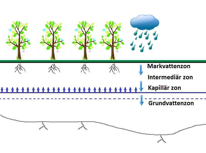 Grundvattennivån ligger i Sverige relativt ytligt, i regel på några få meters djup, och följer oftast markytans topografi (Grip et al., 2003).