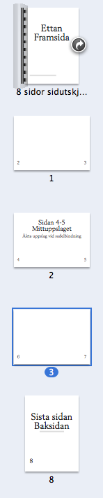 3. Webbpublicering Du ska skapa en PDF som du kan ha som en digital variant för att läsa på skärm. Första och sista sidan ligger som singelsidor, övriga som uppslag.