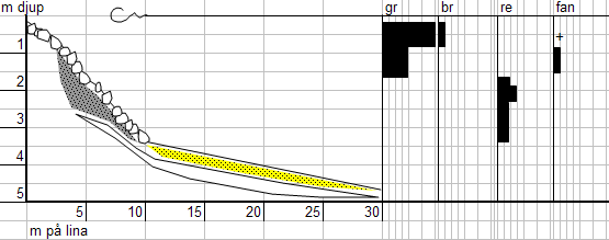 Grönslick, Cladophora glomerata, växer ymnigt ner till nära 1 m djup, med små inslag av tarmalger, Ulva spp. Här tunnar den ut och täcker med 50 % blocken ner till 1,6 m djup.