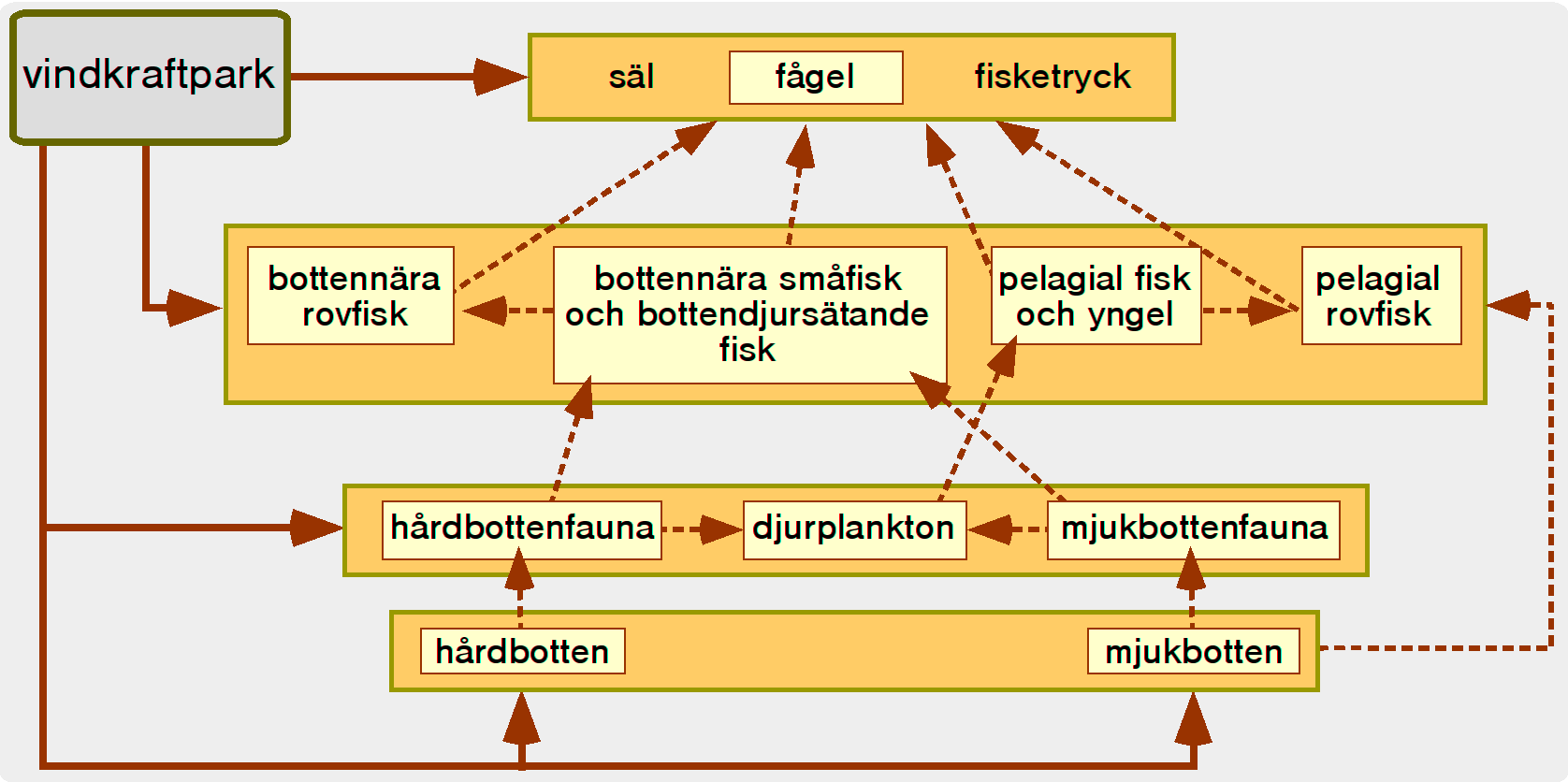 Figur 4. Förenklad skiss över marina ekosystem med betoning på fisk.