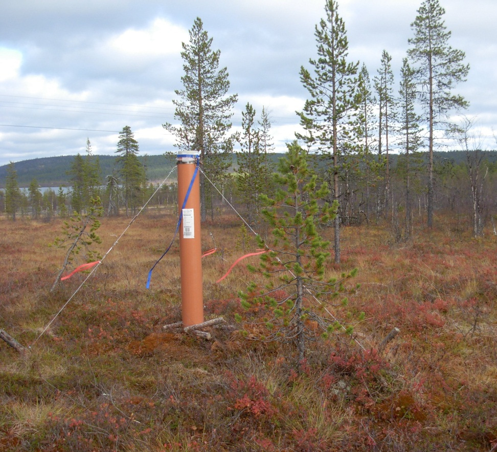 NR C JUNI RAPPORT För Länsstyrelserna i Dalarnas, Jämtlands, Västernorrlands, Västerbottens och Norrbottens län samt Boliden Mineral AB Tillståndet i