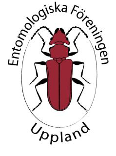 Text och Foto: Daniel Marklund December 2011 I samarbete med Entomologiska Föreningen i Uppland Omslagsfoto: Diastocera wallichii ssp.