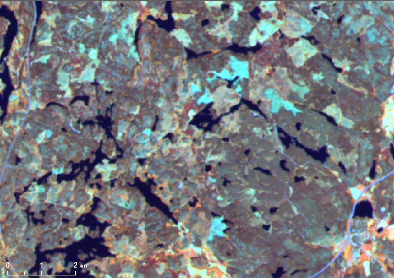 Satellitbild Landsat TM 1989 Band 4 NIR (760-900 nm)