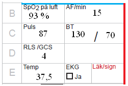 Vitalparametrarna påp arbetsbladet.