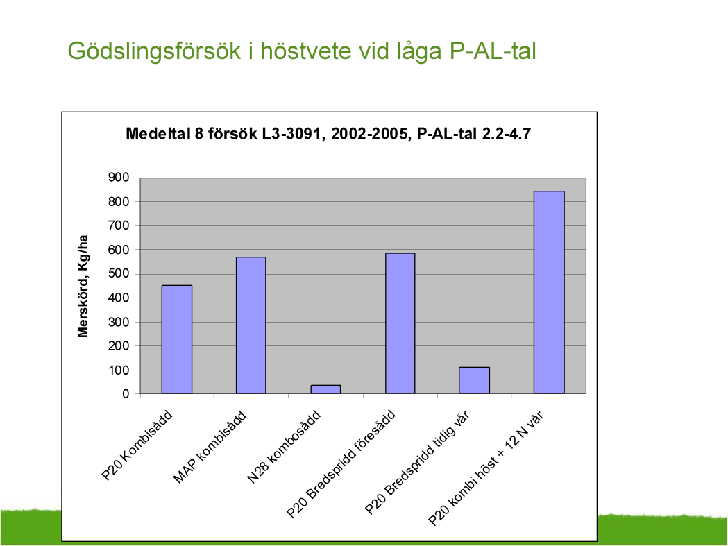 Försöken visar att kombi sådd P20 och bredspridd P20 på hösten