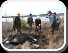 2010 års Jakt Jaktlagets planer på utbyggnad av slakteriet har fortsatt med olika arbetsdagar under året. Det flöt på bra och upprustningen av den gamla delen var färdig att användas under jakten.