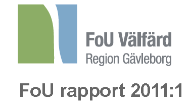 FoU rapport 2013:2 Att dokumentera