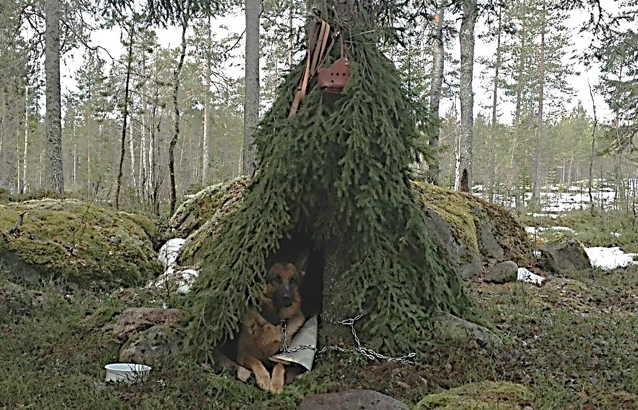 tillkommer utbildningen med