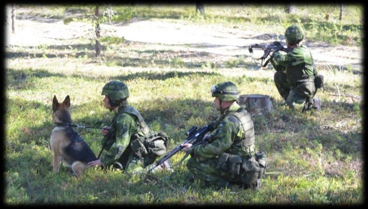 Bakgrund Uppgift från PROD FRIV SBK Försvarsmaktsgrupp tillsatte en utredning Syfte; utred hur utbildningsverksamheten för Hundföraren kan kompletteras för att ekipaget i