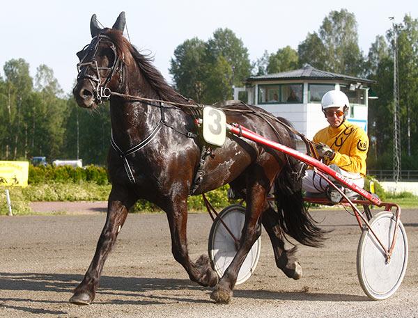 RESULTAT OCH BILDER FRÅN TÄVLINGARNA 3 JULI ARVIKA KOMMUN S DAG LOPP 1 INGESTRAND S STUGOR & CAMPING SEGRARE LOPP 1 RINGSTAD SVARTEN- KENNETH BRENDEN Svenska och norska kallblodiga H 90 000 t/ 48 001