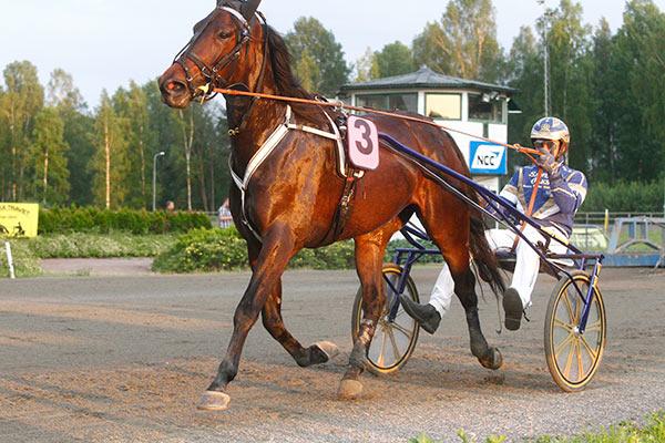 LOPP 10 VÄRMLANDS FOLKBLADS AMERIKARESA SEGRARE LOPP 10- CROWN OF VIVTORY MAXIME MARAIS 35.001-125.000 körda av E- eller F licensinnehavare 2100m auto 1.