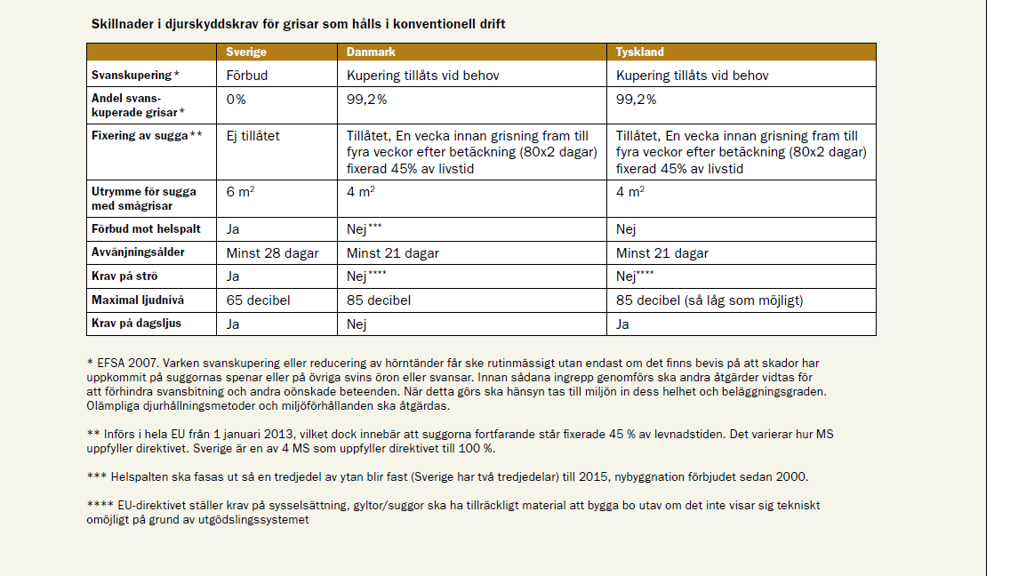 Rapporten