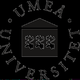 Bilaga 2: Enkäten Jag är student vid Umeå Universitet och genomför denna enkätundersökning som ett led i mitt examensarbete vid Institutionen för nationalekonomi.