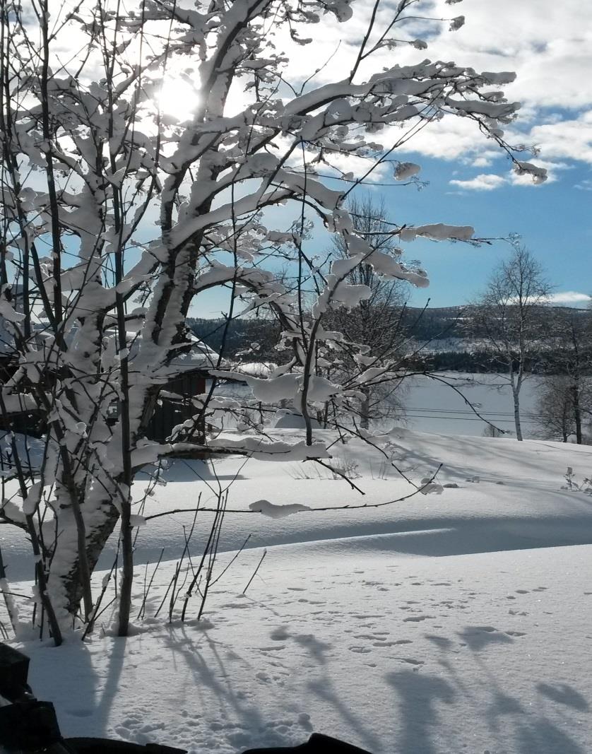 Vinter/vårmatsedel äldreomsorgen