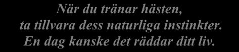 ggr = 1146:- Special Junior EG häst 180:- x 18 ggr = 3420:- Special Senior EG häst 208:- x 6 ggr = 1248:- Special Senior EG häst 196:- x 18 ggr = 3528:- Körning junior 60 min 100:- x 9 ggr = 900:-