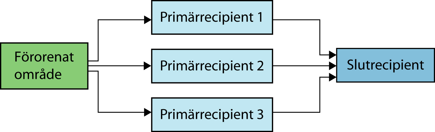 därigenom beskrivas med ett system av ordinära differentialekvationer som löses numeriskt. Figur 4.2 Belastning av primärrecipienter och slutrecipient från förorenat område.