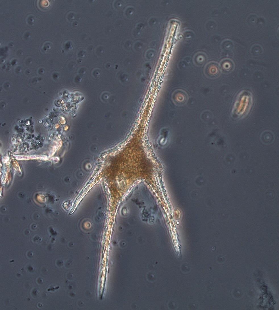 Garberg 2014-09-17 Medins Biologi AB Företagsvägen 2, 435 33