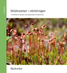 17 Extra anpassningar 3 kap 5a Skollagen Om det inom ramen för undervisningen eller genom resultatet på ett nationellt prov, uppgifter från lärare, övrig skolpersonal, en elev eller en elevs