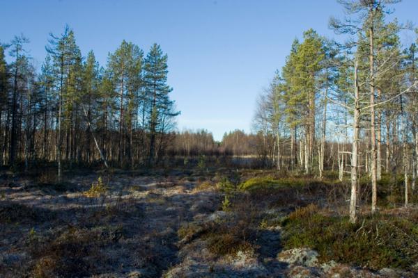 ca 2 m djup från Uppland.