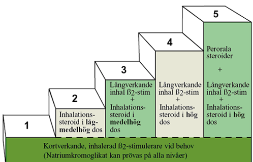 Figur 3: Behandlingstrappa (Bild från www.oreroll.se) 1. Läkemedel tas vid ehov eller innan fysisk ansträngning för att föreygga eventuell attack. 2.