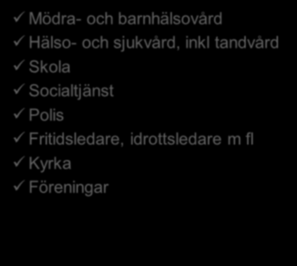 Riskmiljö. Olika infallsvinklar Vad är riskmiljö? Finns samsyn om begreppet? Grader av risk? Risk för vad? Vilka insatser kan göras? När ska insatser sättas in?