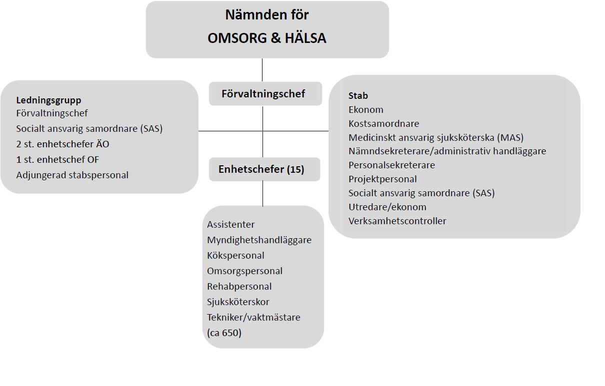 UTVÄRDERINGSRAPPORT FÖR FÖRVALTNINGEN FÖR OMSORG OCH HÄLSA JANUARI 2013 3 Inledning Denna Investors in People-utvärdering genomfördes den 14-17 januari 2013.