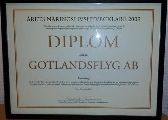 Näringslivsutvecklare 2009